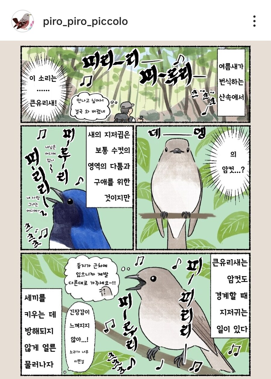 번역) 공원에서 큰유리새&노랑딱새_4.jpg