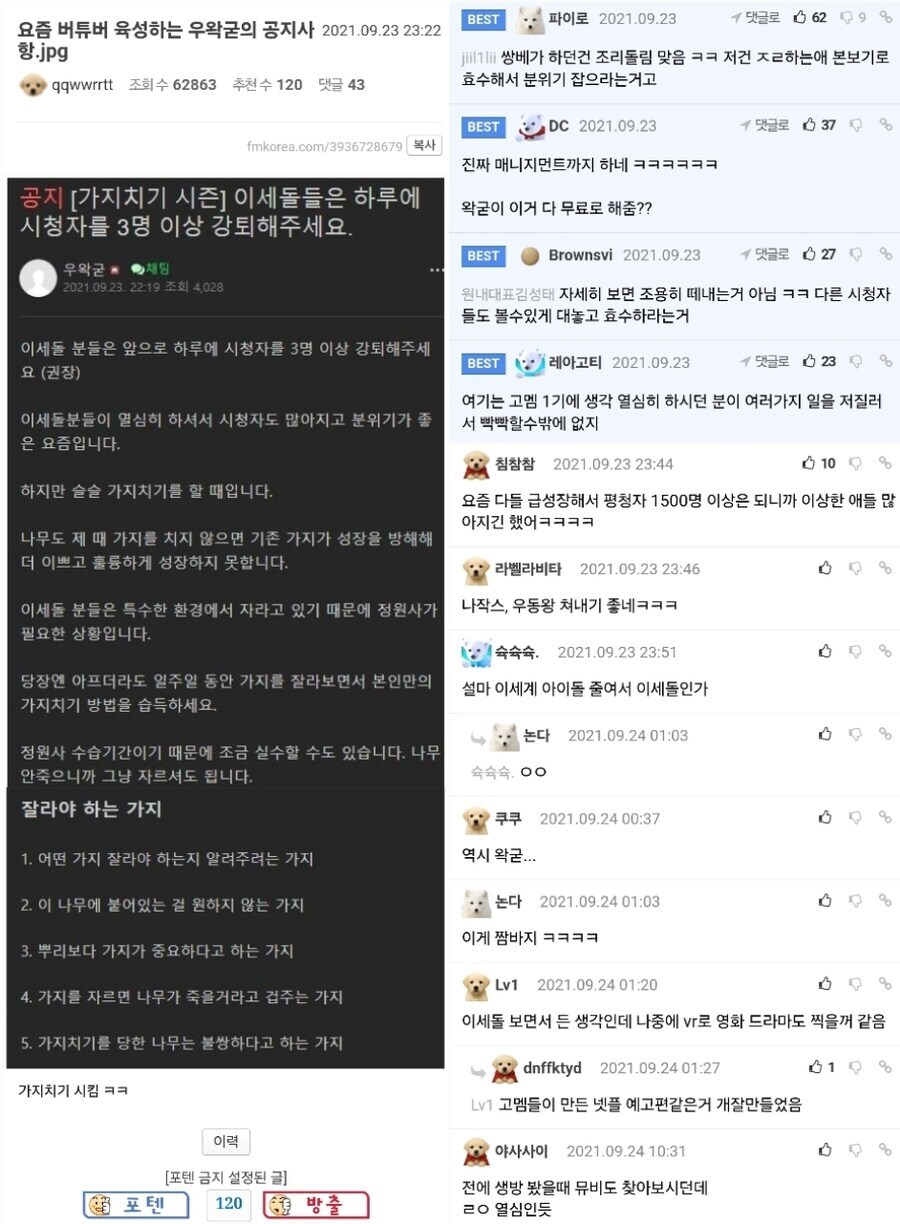 에펨코리아 근황_3.jpg