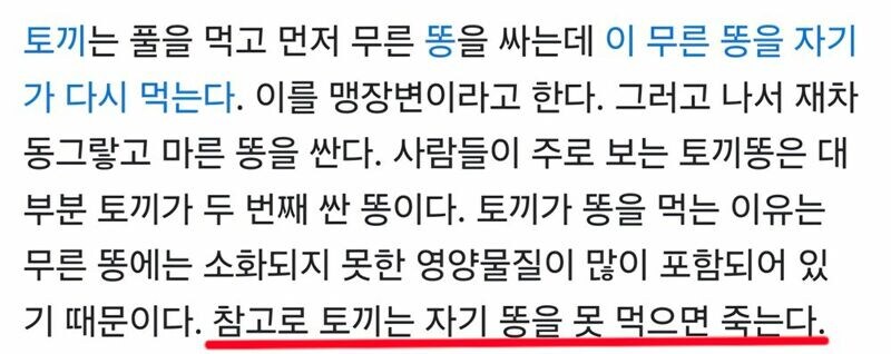 똥을 먹지 못하면 죽는 생물.jpg_1.jpg