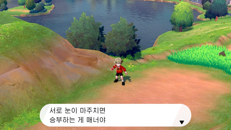 눈만 마주쳐도 승부했던 포켓몬 게임 근황_3.jpg