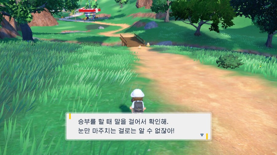 눈만 마주쳐도 승부했던 포켓몬 게임 근황_5.png