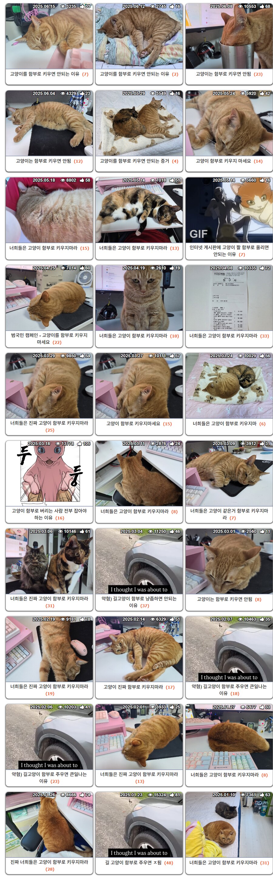 나도 심심해서 파묘 하나 해봤다_1.png