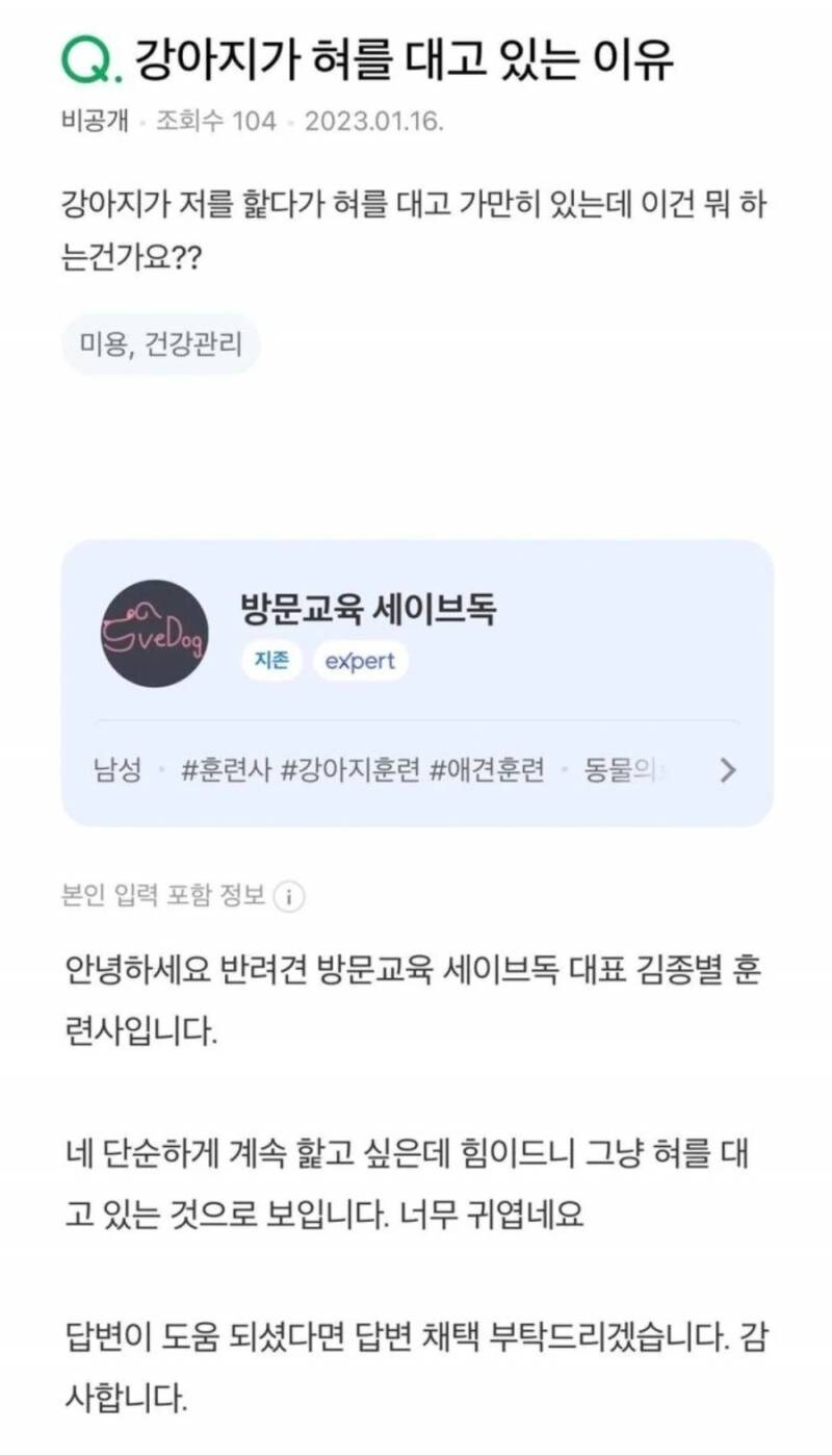 강아지가 혀를 대고있는 이유_1.jpg