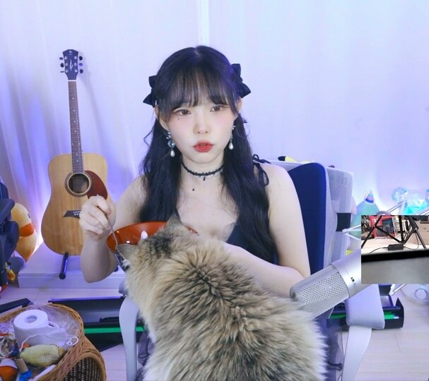 인방) 서새봄이 고양이 때문에 구입한 물건들_2.jpg