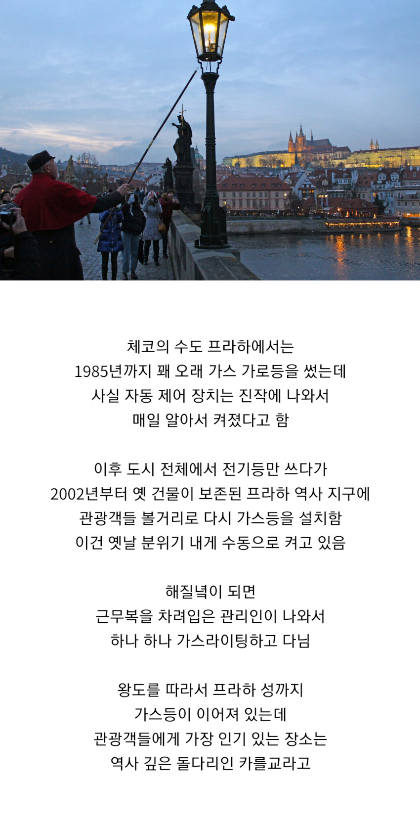 세금으로 가스라이팅하는 나라