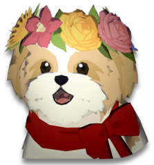 [마비M] 신규펫 시츄 언제나옴??_1.png