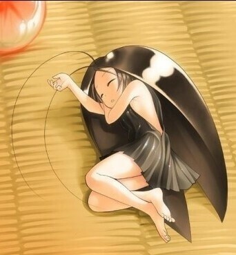 바퀴벌레한테 직빵이라는 맥스포스 한통 다 짜서 뿌렸는데._1.jpg