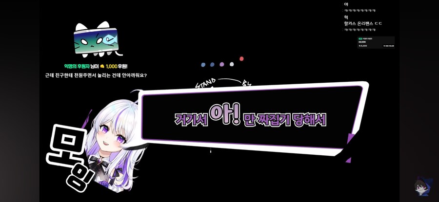 인방) 어느 여자 스트리머가 당하는 취급_48.jpg