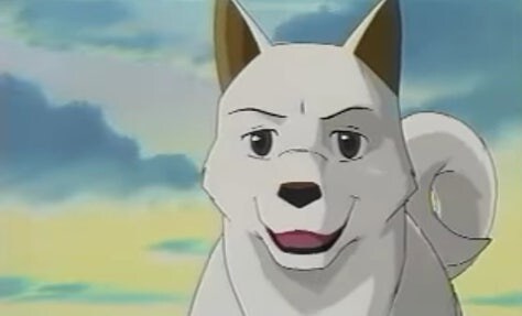 작성자 특_1.jpg