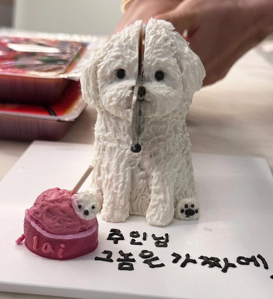 주인님 그놈은 가짜에요_2.jpg