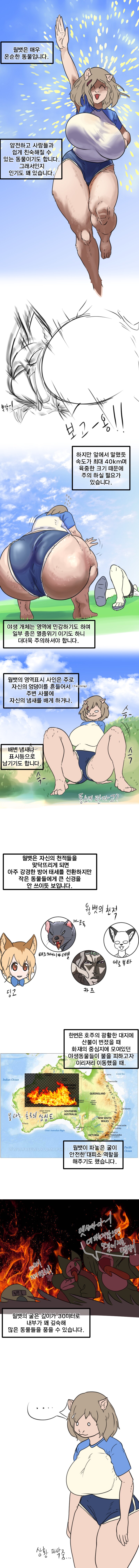 (후방)웜뱃 생태 보고선 망가_2.png