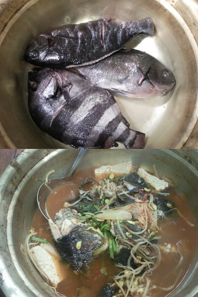 건담/스포)그니까 지쿠악스를 음식으로 비유하면_1.jpg