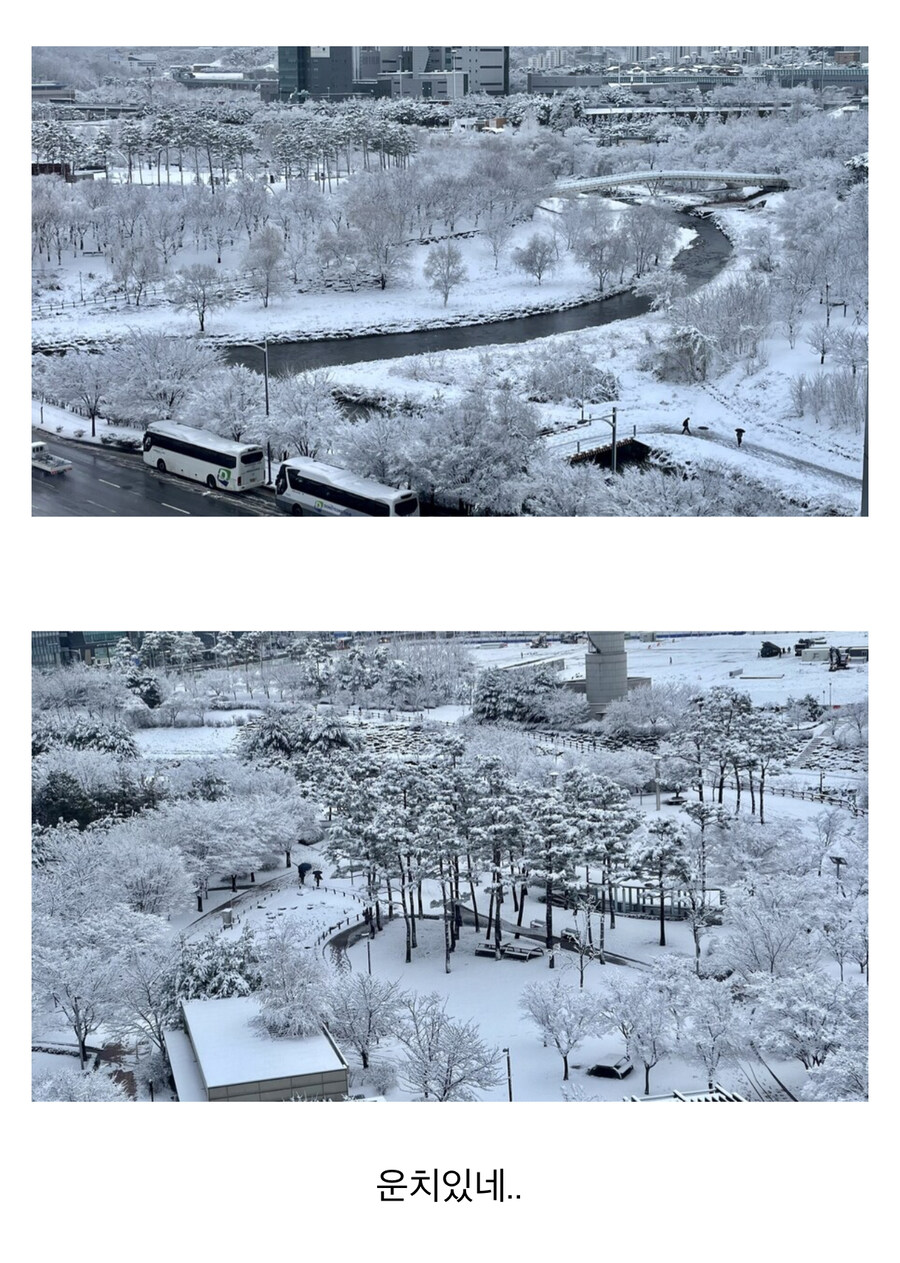 한국인 언어오염 3대장.language_2.jpg