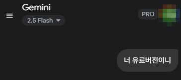 구글 제미나이Gemini 15개월 무료로 이용하는 법.jpg_7.png