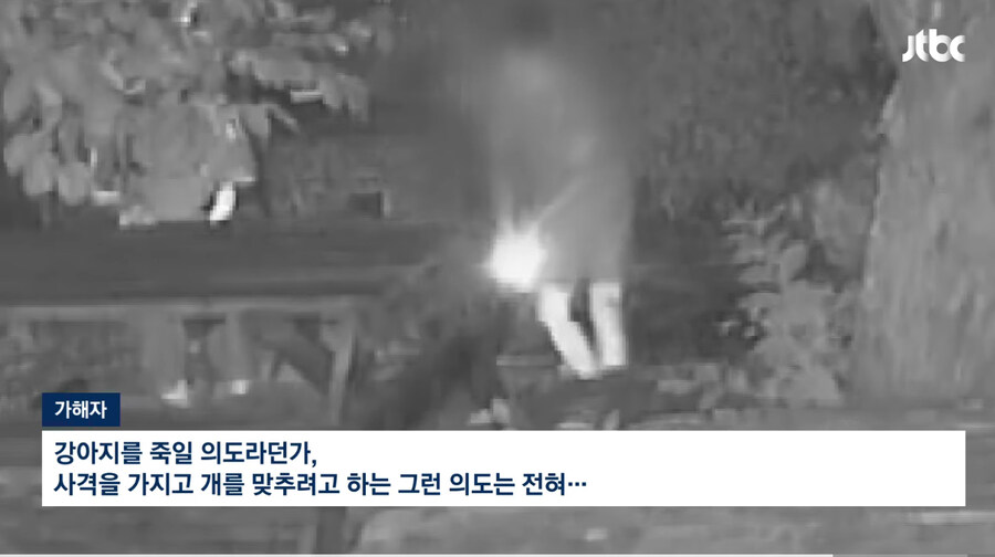 개에게 비비탄 수천발 쏴 죽인 군인_7.jpg