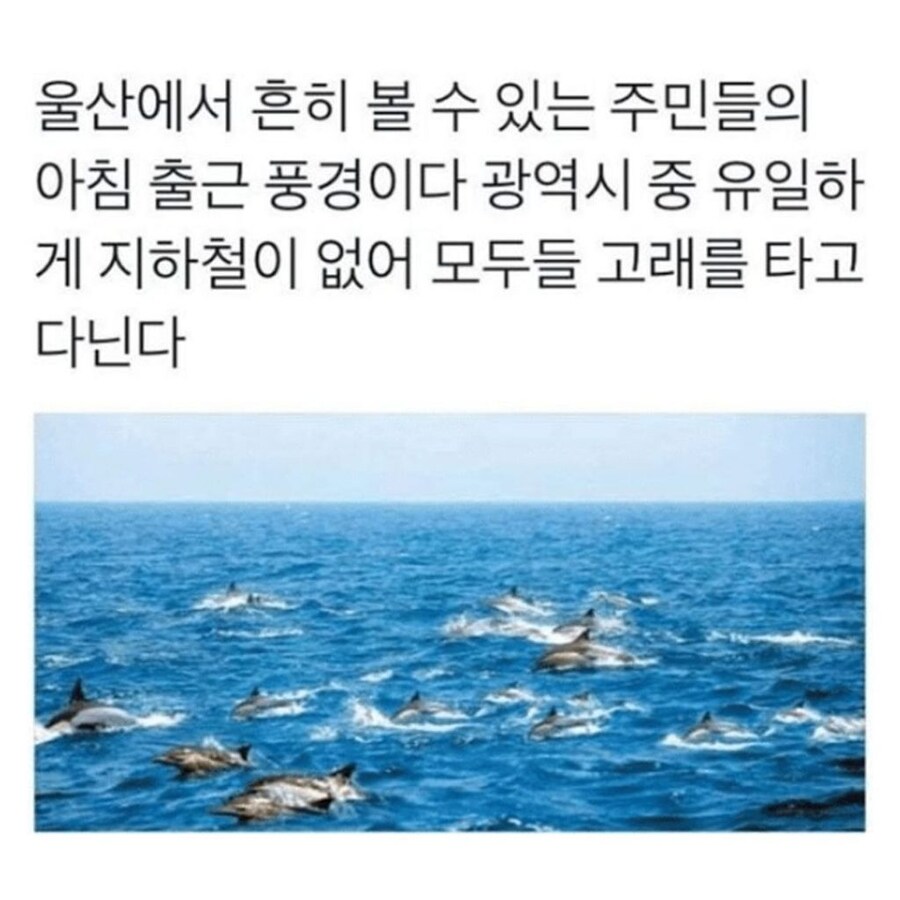 전주 사람들은 뭐 타고 다님?_3.jpg