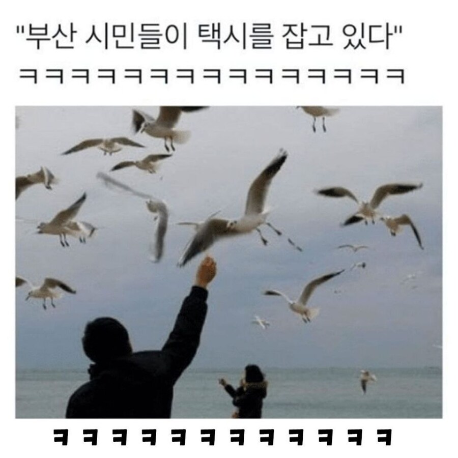 전주 사람들은 뭐 타고 다님?_4.jpg