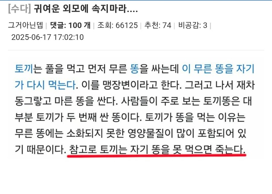 메이플)신직업 귀여운 외모에 속지 마라_1.jpg