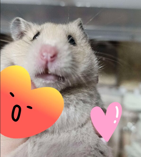 유게이 베스트 프랜드서비스 연장 추가비 결제 하고 왔다_4.png