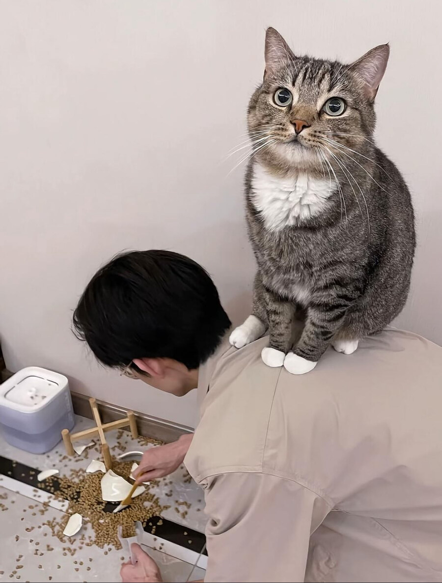 어쩔거냥_2.jpg