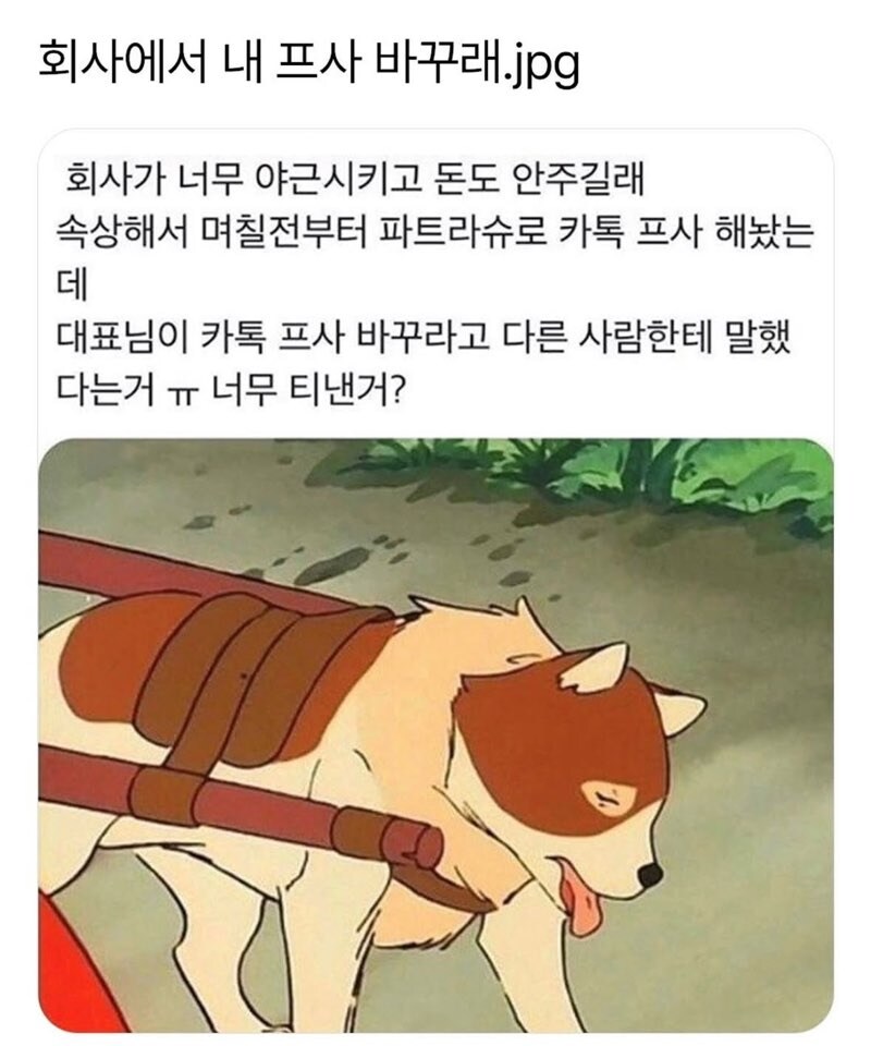 회사 프사 어때?_1.jpg