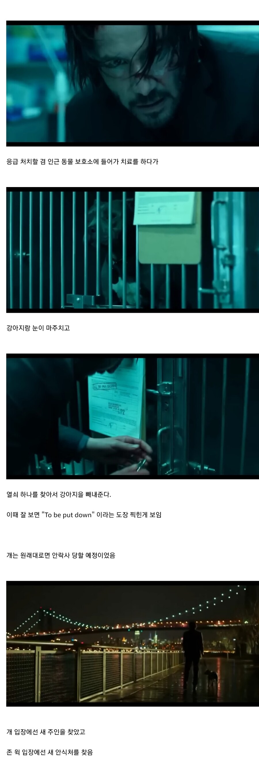 언제나 한결같은 존윅.jpg_1.jpg