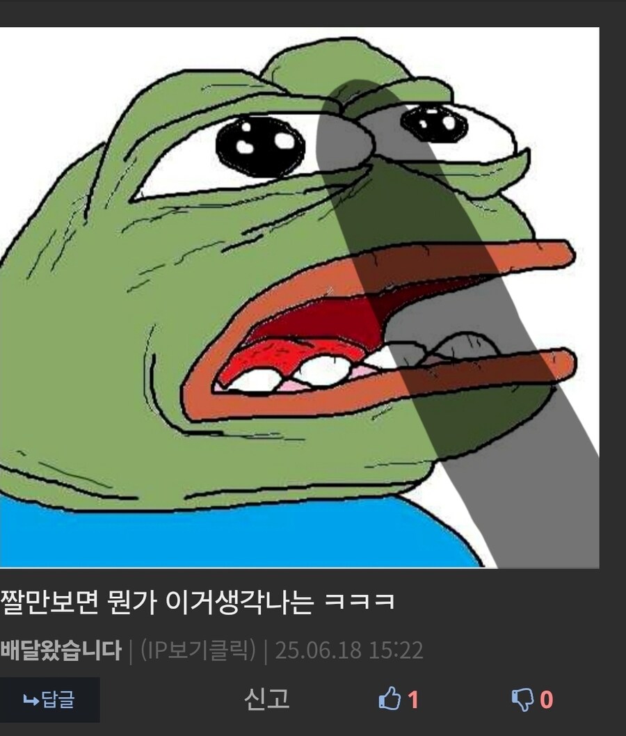 건담) 지쿠악스 11화의 샤아가 보고 놀란 "그것"의 정체 (강스포)_2.jpg