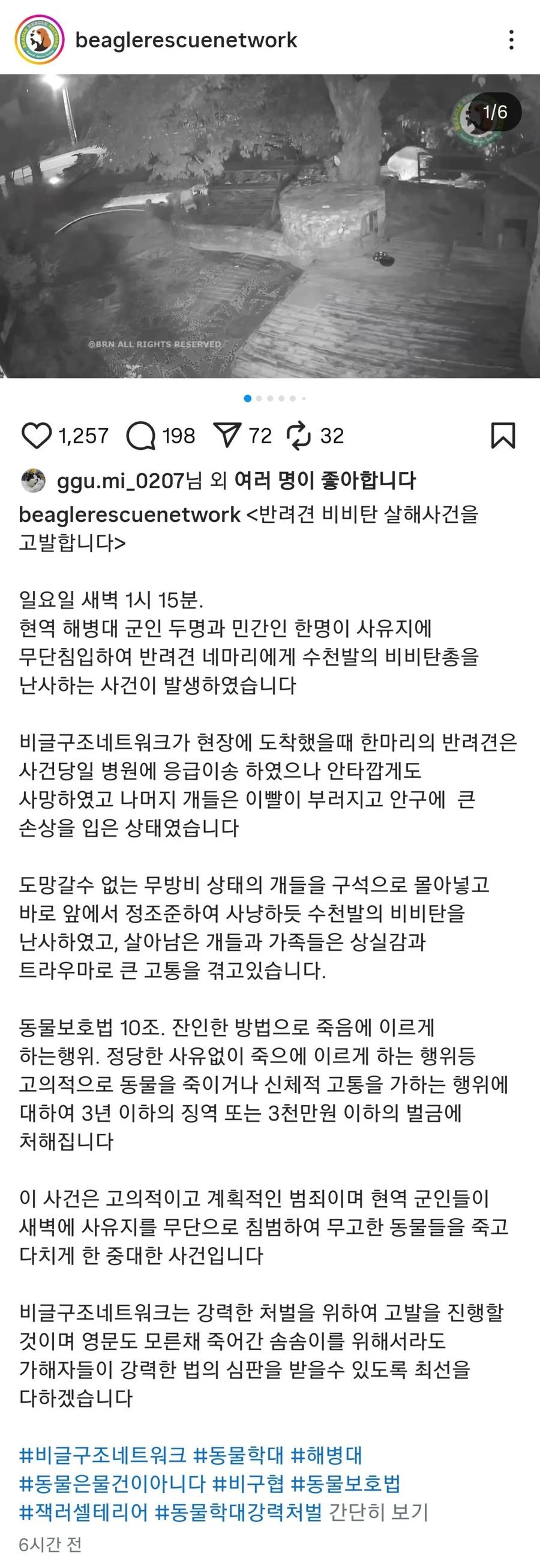 이번에 군인들이 쏜 비비탄 수백발에 다친 노견들 사진_9.webp