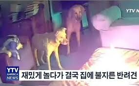 방역으로 조토피아 올리시는 분들 특징_1.jpg