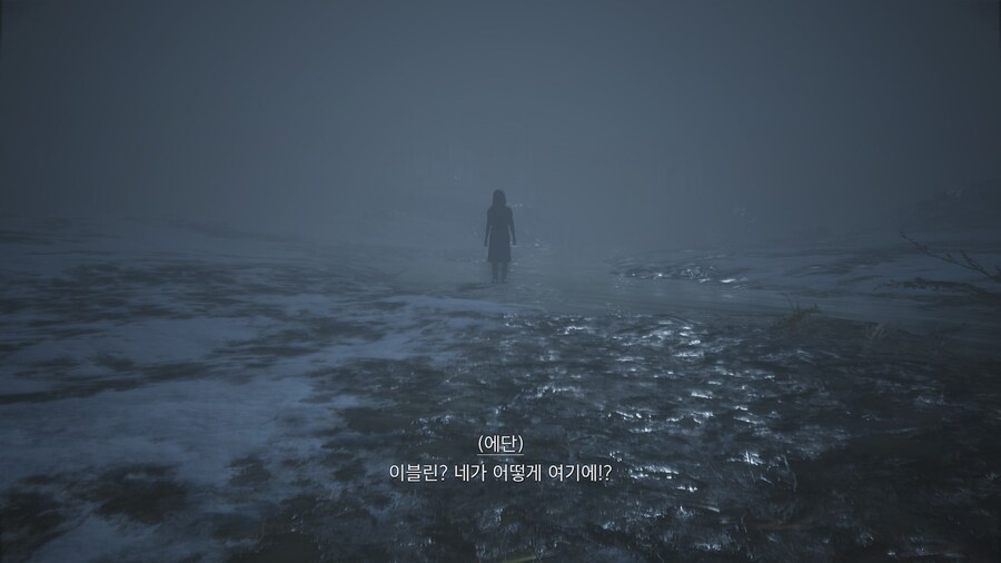 바이오하자드 빌리지_4.jpg