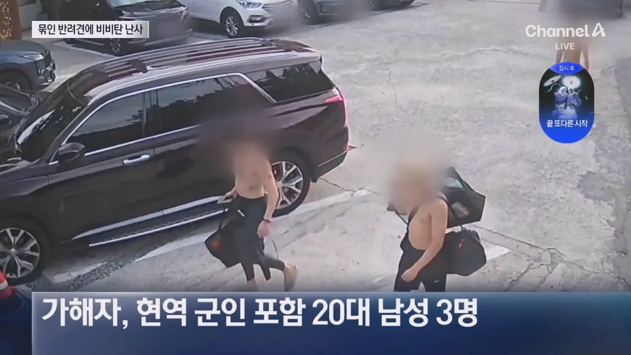 해병대등 20대남성 식당 앞 묶여있는 개들향해 비비탄 수천발 발싸.jpe_20.webp