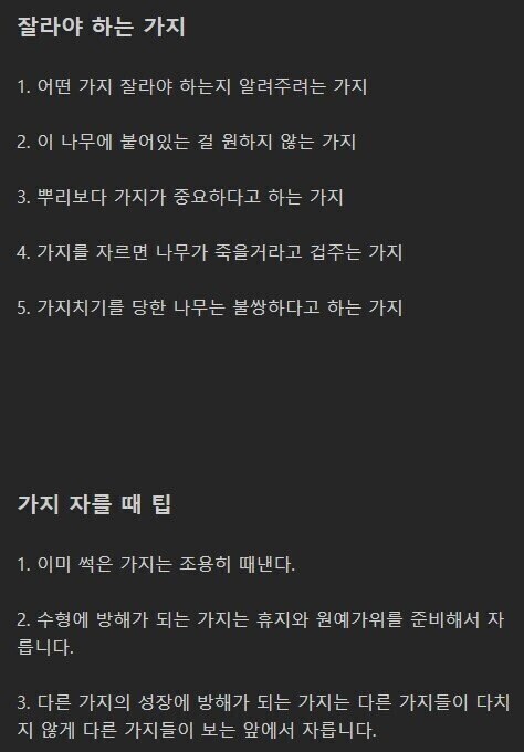 우왁굳이 아프리카 방송 초창기 루리웹에 썼던 글_2.jpg