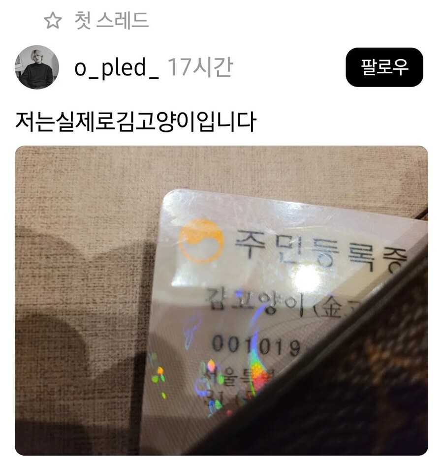 "저는 김 고양이 입니다."_1.jpg