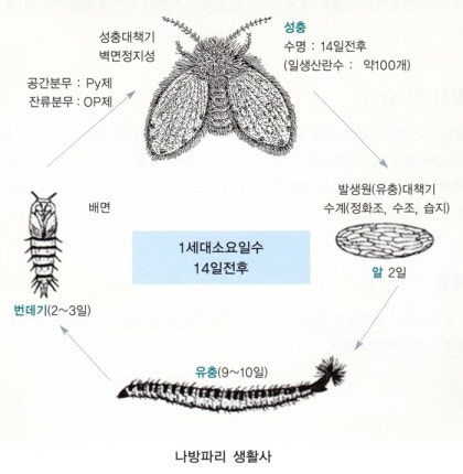 의외로 주기적으로 분해해서 청소 해 줘야 하는 곳_5.jpg