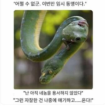 와우) 허접이 된 잘아타스 근황ㅋㅋㅋ_3.png