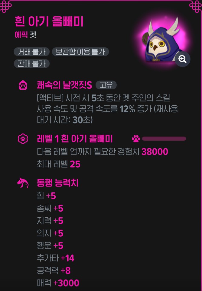 마비m)신규 펫 올빼미 성능 정보_1.png
