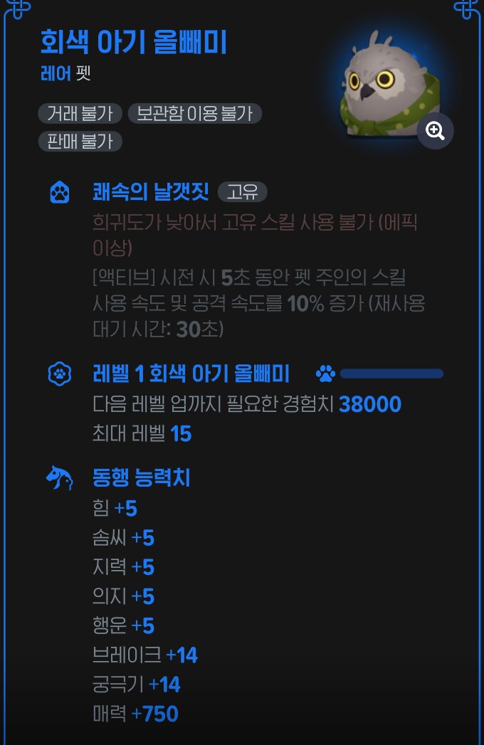 마비m)신규 펫 올빼미 성능 정보_3.png