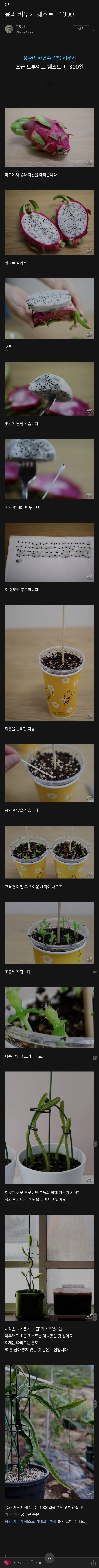 1300일만에 용과 꽃 피운.jpg_1.png
