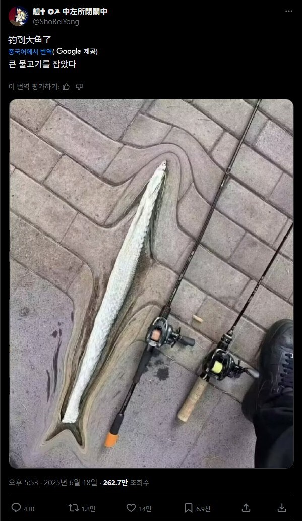 일본인의 흔한 대어 자랑.jpg_1.jpg