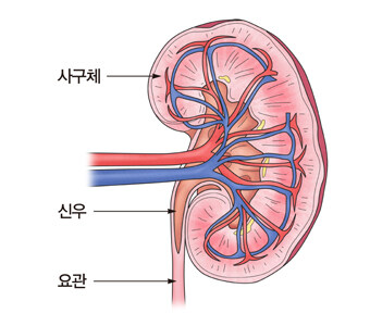 장기들이 싫어하는 것_5.jpg