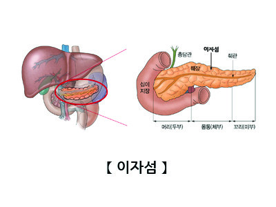 장기들이 싫어하는 것_6.jpg