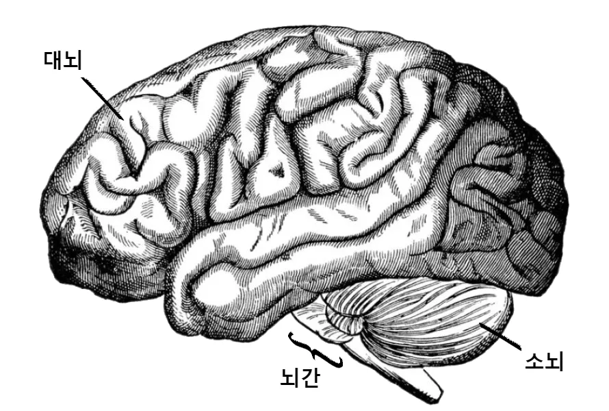 장기들이 싫어하는 것_7.webp