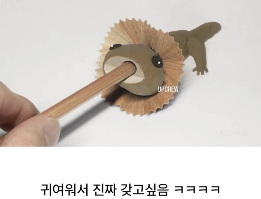 없던 물욕도 생기게 하는_3.jpg