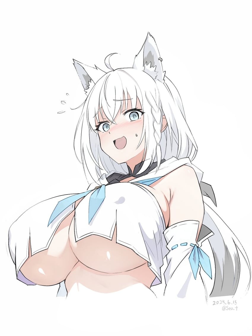 버튜버) 🦊_1.jpg