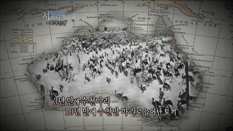 메이플 근황.jpg_2.jpg