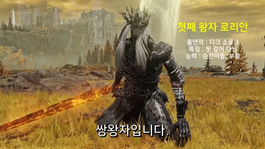 어느 엘든링 빛바랜자의 컨셉플레이_4.png