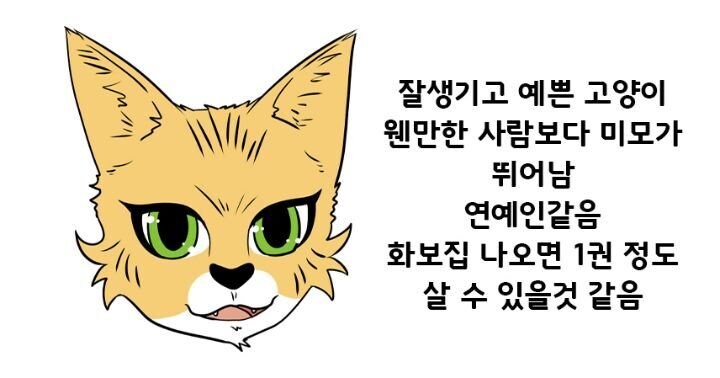 고양이의 4대 유형.jpg_1.jpg