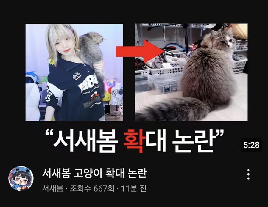 고양이 ㅎ대 논란 영상 보여주는 서새봄_1.jpg