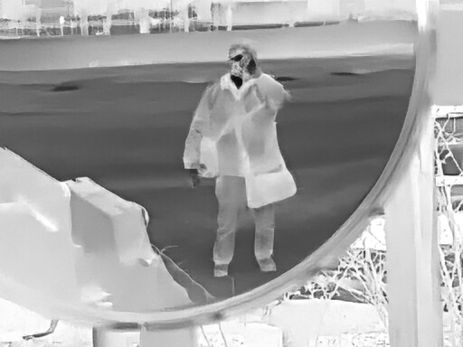 4월, 신도 및 시도 탐조_5.jpg