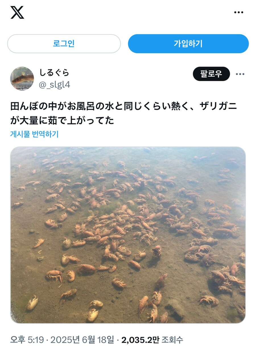 현재 일본의 실개천 근황_1.jpg